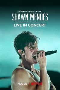 Shawn Mendes Live in Concert (2020)