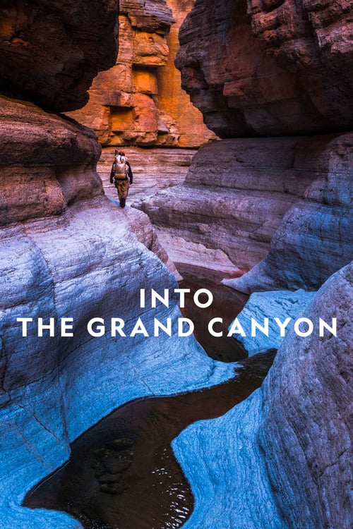 Into the Canyon (2019)