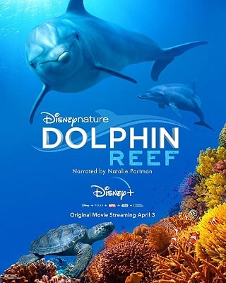 DOLPHIN REEF (2020) ซับไทย DOLPHIN REEF (2020) ซับไทย