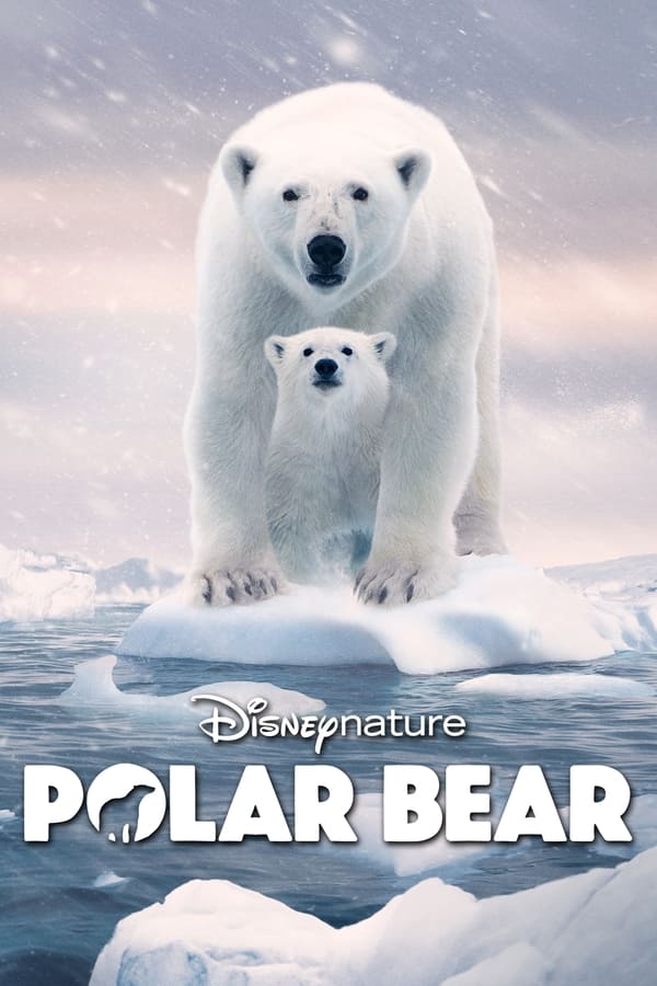 POLAR BEAR (2022)