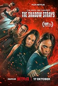 The Shadow Strays นักฆ่าเงาล่าทรชน (2024) The Shadow Strays นักฆ่าเงาล่าทรชน (2024)