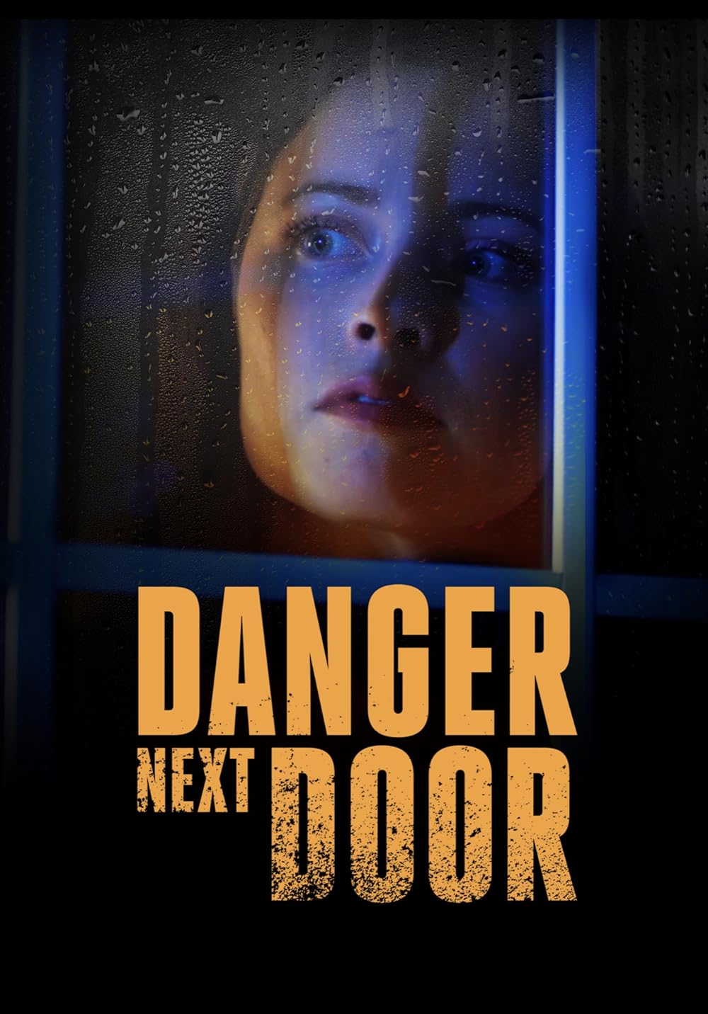 The Danger Next Door (2021) The Danger Next Door (2021)