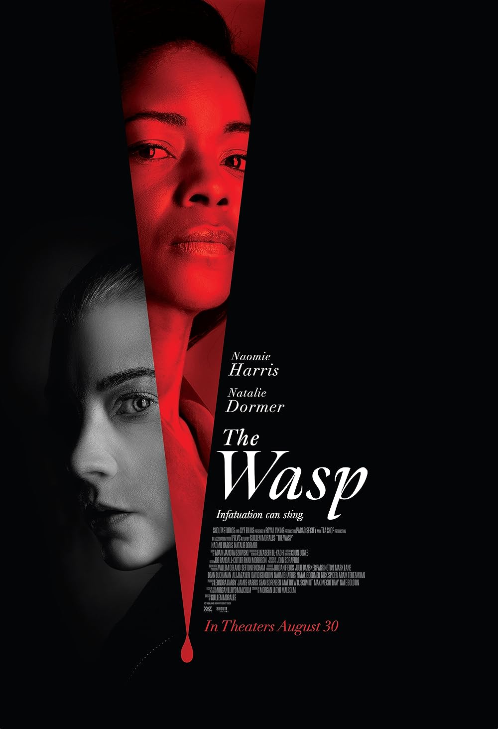 The Wasp (2024) The Wasp (2024)